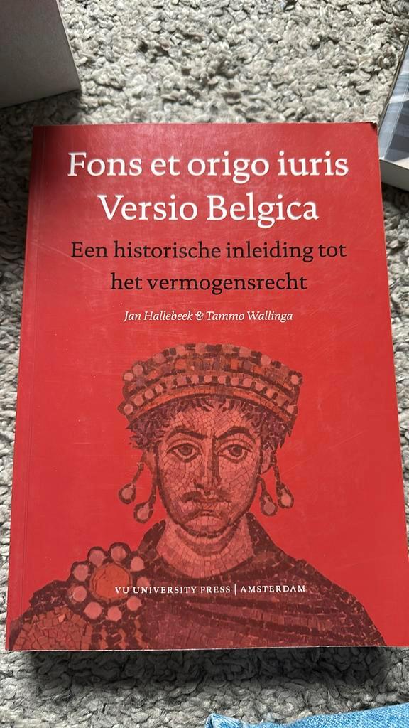 Tammo Wallinga - Fons et origo iuris Versio Belgica, Boeken, Wetenschap, Zo goed als nieuw, Ophalen of Verzenden