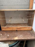 Kweekkooi, Animaux & Accessoires, Enlèvement ou Envoi, Comme neuf