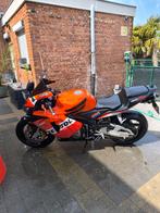 Honda cbr 600rr, Motoren, Motoren | Honda, Particulier