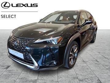 Lexus UX 250h AWD Privilege Line 