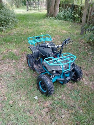 Elektrische Kinderquad 1000W 48Volt beschikbaar voor biedingen