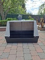 Ruime Transportbox Hond (L100 x H67 cm), Ophalen, Gebruikt