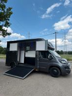 Paardenwagens b-rijbewijs te koop met NIEUWE opbouw., Dieren en Toebehoren, Ophalen of Verzenden