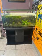 Aquaruim 200l, Dieren en Toebehoren, Vissen | Aquaria en Toebehoren, Ophalen, Gebruikt, Overige typen