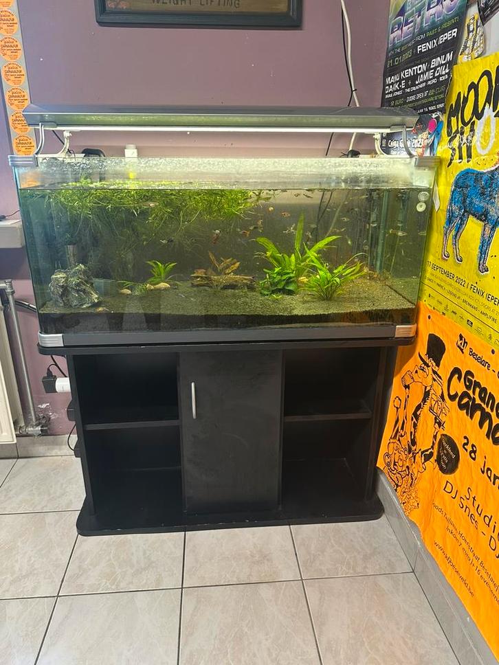 Aquaruim 200l, Dieren en Toebehoren, Vissen | Aquaria en Toebehoren, Gebruikt, Overige typen, Ophalen