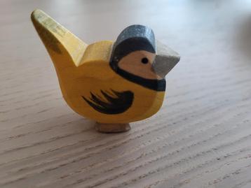 Ostheimer koolmees mees beschikbaar voor biedingen