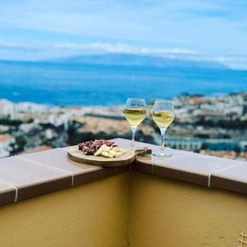 Appartement 1ch terrasse vue mer Costa Adeje Tenerife Sud beschikbaar voor biedingen