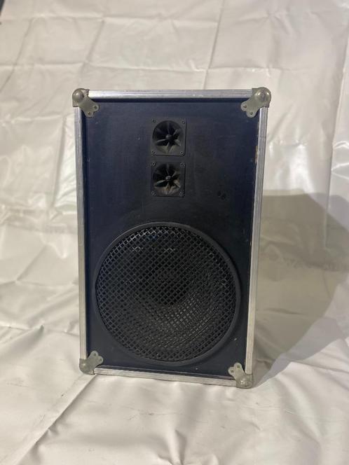 Zelfbouw speakers 15", Audio, Tv en Foto, Luidsprekerboxen, Gebruikt, Ophalen
