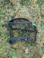 Shetlander hoofdstel, Ophalen, Zo goed als nieuw, Recreatie