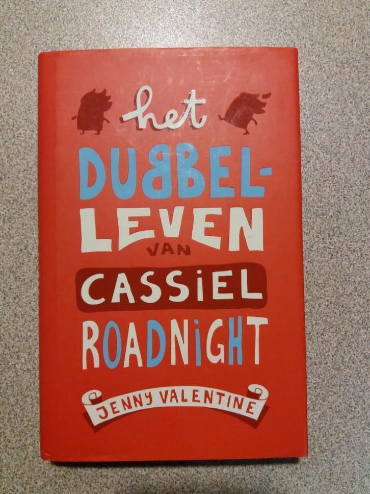 Boek: Het dubbelleven van Casiel Roadnight, Boeken, Kinderboeken | Jeugd | 13 jaar en ouder, Zo goed als nieuw, Ophalen of Verzenden