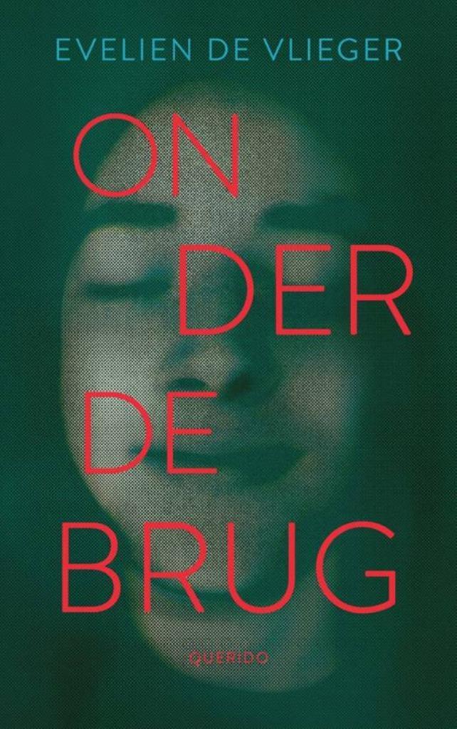 Evelien De Vlieger - Onder de brug, Boeken, Kinderboeken | Jeugd | 13 jaar en ouder, Nieuw, Ophalen of Verzenden