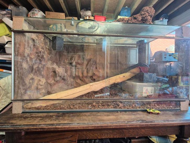 Glazen terrarium met zelfgemaakte achterwand en zijwanden, Dieren en Toebehoren, Reptielen en Amfibieën | Toebehoren, Zo goed als nieuw