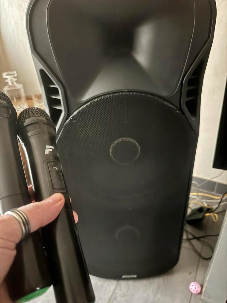 Fenton FT215LED – dubbele 151600W – met draadloze microfoons, Audio, Tv en Foto, Luidsprekerboxen, Gebruikt, Ophalen