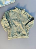 trui, pull met rits en dino's, Besties, 110, Kinderen en Baby's, Kinderkleding | Maat 110, Ophalen of Verzenden, Zo goed als nieuw