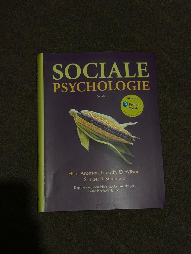 Sociale Psychologie (10e editie) – Aronson/Wilson/Sommers, Livres, Psychologie, Enlèvement ou Envoi, Comme neuf, Psychologie sociale