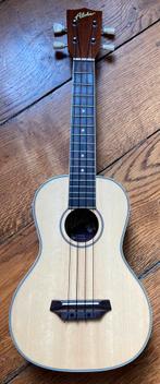 UKELELE EN ZIJN KOFFER, Muziek en Instrumenten, Snaarinstrumenten | Overige, Ophalen, Zo goed als nieuw