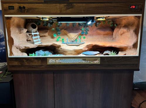 Exlusief terrarium 120x50x60! Luipaardgekko, Dieren en Toebehoren, Reptielen en Amfibieën | Toebehoren, Nieuw, Ophalen