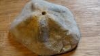 Fossiele platte zee-egel, Verzamelen, Mineralen en Fossielen, Ophalen of Verzenden, Fossiel