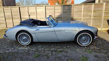 Austin Healey 3000 in prachtstaat beschikbaar voor biedingen