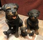 Rotweiler beelden, Collections, Collections Animaux, Enlèvement, Comme neuf, Chien ou Chat, Statue ou Figurine
