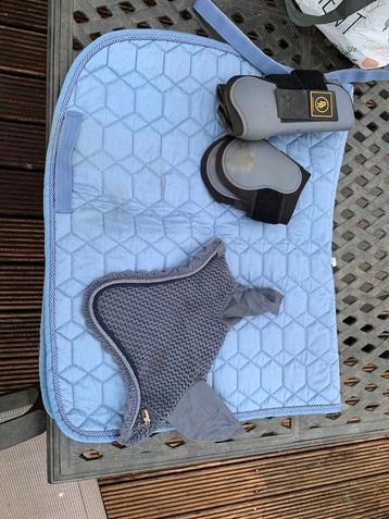 Dekje full dressuur beschikbaar voor biedingen
