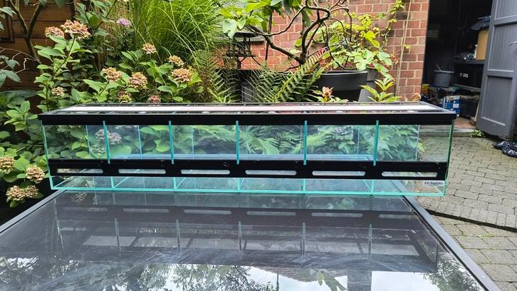 Terrarium straten, 6 terraria, inclusief rek, Dieren en Toebehoren, Reptielen en Amfibieën | Toebehoren, Nieuw, Terrarium of Paludarium