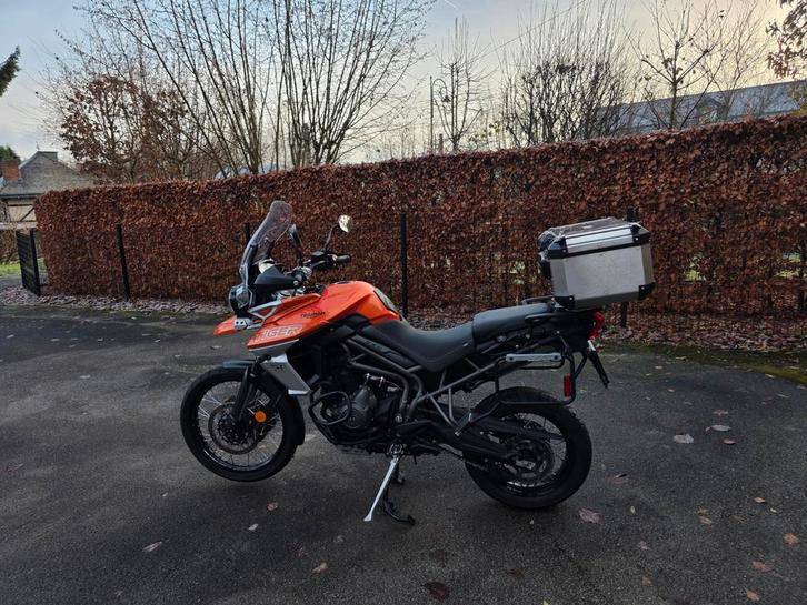 Triumph Tiger 800 XCA, Motoren, Motoren | Triumph, Ophalen