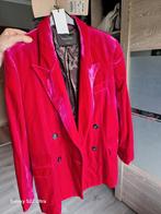 Massimo Dutti, Kleding | Dames, Ophalen of Verzenden, Maat 42/44 (L)