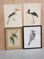 4 gravures met vogels. W.o. Chantal De Potter, Antiek en Kunst, Kunst | Etsen en Gravures, Ophalen of Verzenden