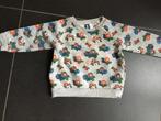 Pull of sweater WSP! maat 74, WSP!, Ophalen of Verzenden, Zo goed als nieuw, Truitje of Vestje