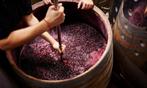 Wijn voor distilleren, Gebruikt, Ophalen of Verzenden