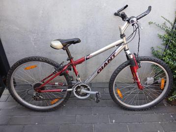 MTB XS Giant, Fietsen en Brommers, Minder dan 45 cm, Ophalen, Gebruikt, Giant