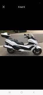 Honda Silverwing 400, Particulier