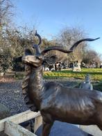 ANTILOPE (The Great Kudu) IN BRONS GESIGNEERD OP EEN SOKKEL, Ophalen of Verzenden, Brons