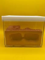 Nid en plâtre avec le monde extérieur, Fourmis