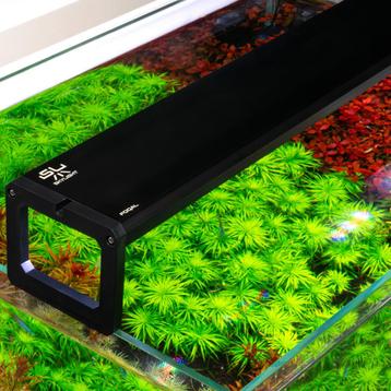 Skylight FOQAL serie led-aquariumlampen beschikbaar voor biedingen