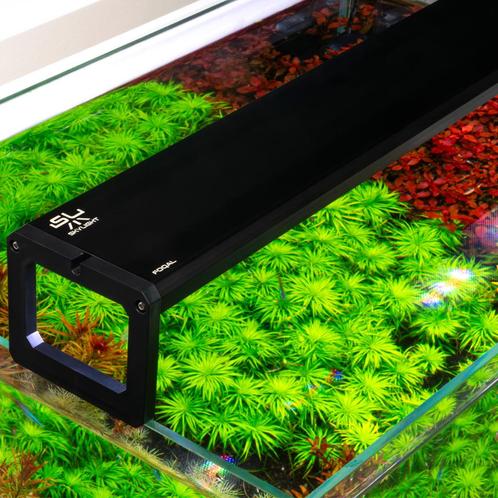 Skylight FOQAL serie led-aquariumlampen, Dieren en Toebehoren, Vissen | Aquaria en Toebehoren, Nieuw, Verlichting of Verwarming