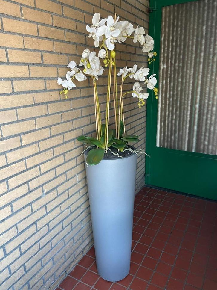 Witte zijden kunstorchidee in hoge pot, Huis en Inrichting, Woonaccessoires | Kunstplanten en Kunstbloemen, Gebruikt, Binnen, Ophalen