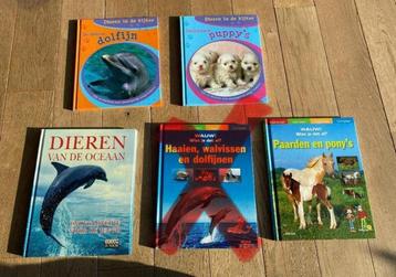 Dieren boeken beschikbaar voor biedingen