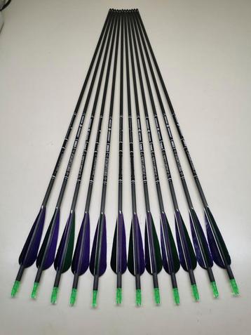 Houten en carbonnen pijlen 32 inch beschikbaar voor biedingen