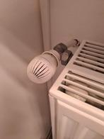 Studentenkamers, Immo, Maisons à louer