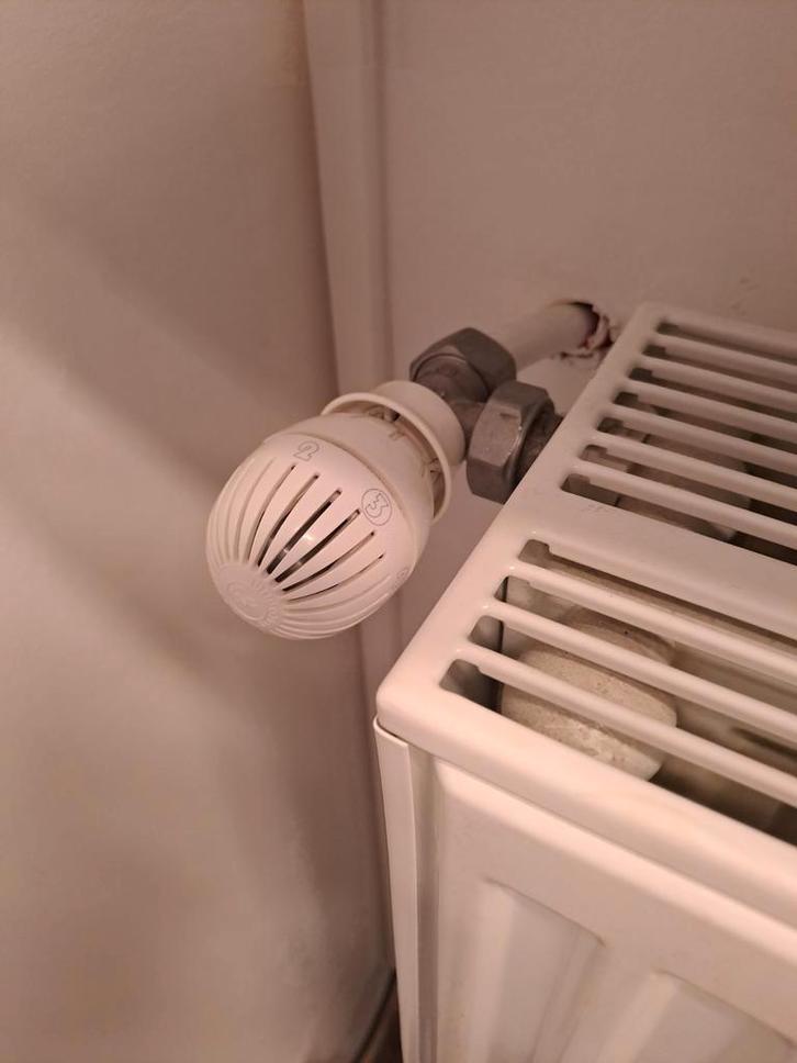 Studentenkamers, Immo, Huizen te huur