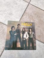 Vinyl 33T - Hallo, hun grootste hits, Cd's en Dvd's, Vinyl | Rock, Ophalen of Verzenden, Gebruikt, 12 inch, Poprock