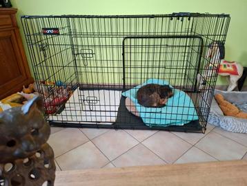 Grote nieuwe kooi  beschikbaar voor biedingen
