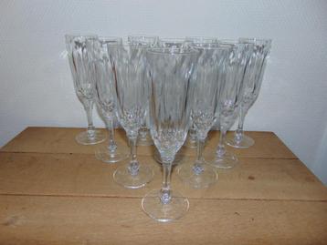 Champagne glazen 10 stuks beschikbaar voor biedingen
