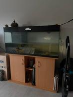 URGENCE VENTE : Grand Aquarium avec Meuble, Animaux & Accessoires, Poissons | Aquariums & Accessoires, Enlèvement, Comme neuf