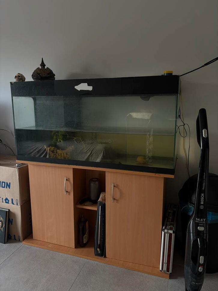 URGENCE VENTE : Grand Aquarium avec Meuble, Animaux & Accessoires, Poissons | Aquariums & Accessoires, Comme neuf, Enlèvement