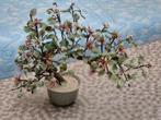 Vintage Jade glas Chinese Bonsaiboom XL uit die jaren ' 60, Antiek en Kunst, Ophalen of Verzenden