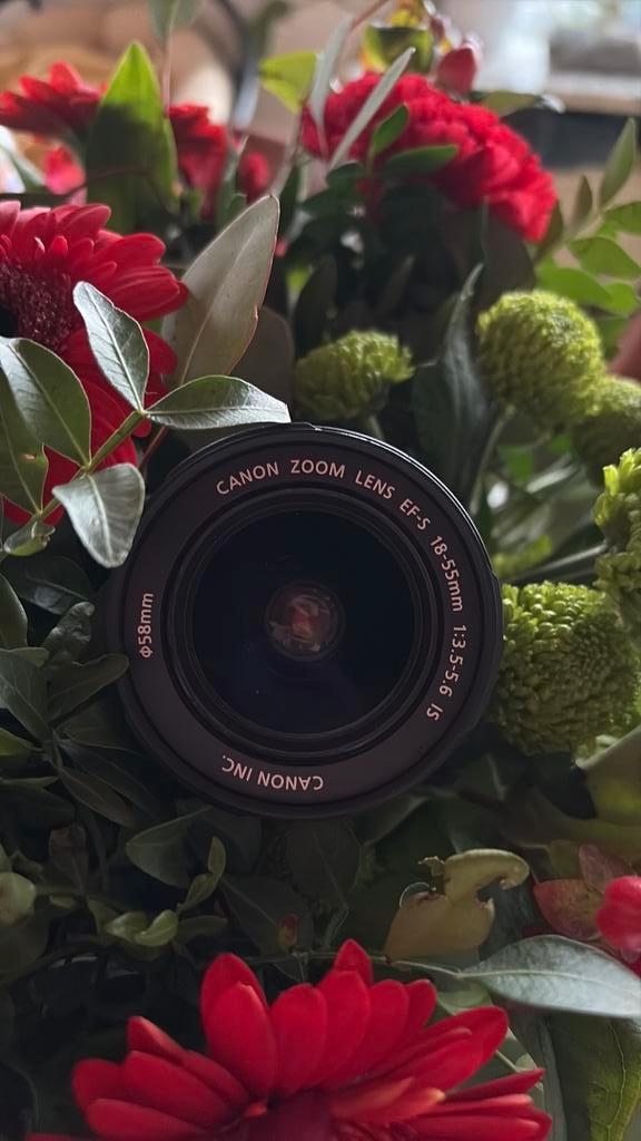 Canon EF-S 18-55mm f/3.5-5.6 IS, TV, Hi-fi & Vidéo, Photo | Lentilles & Objectifs, Zoom, Enlèvement