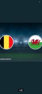 2 Tickets Belgique vs Wales 0484026498, Tickets & Billets, Deux personnes, Juin